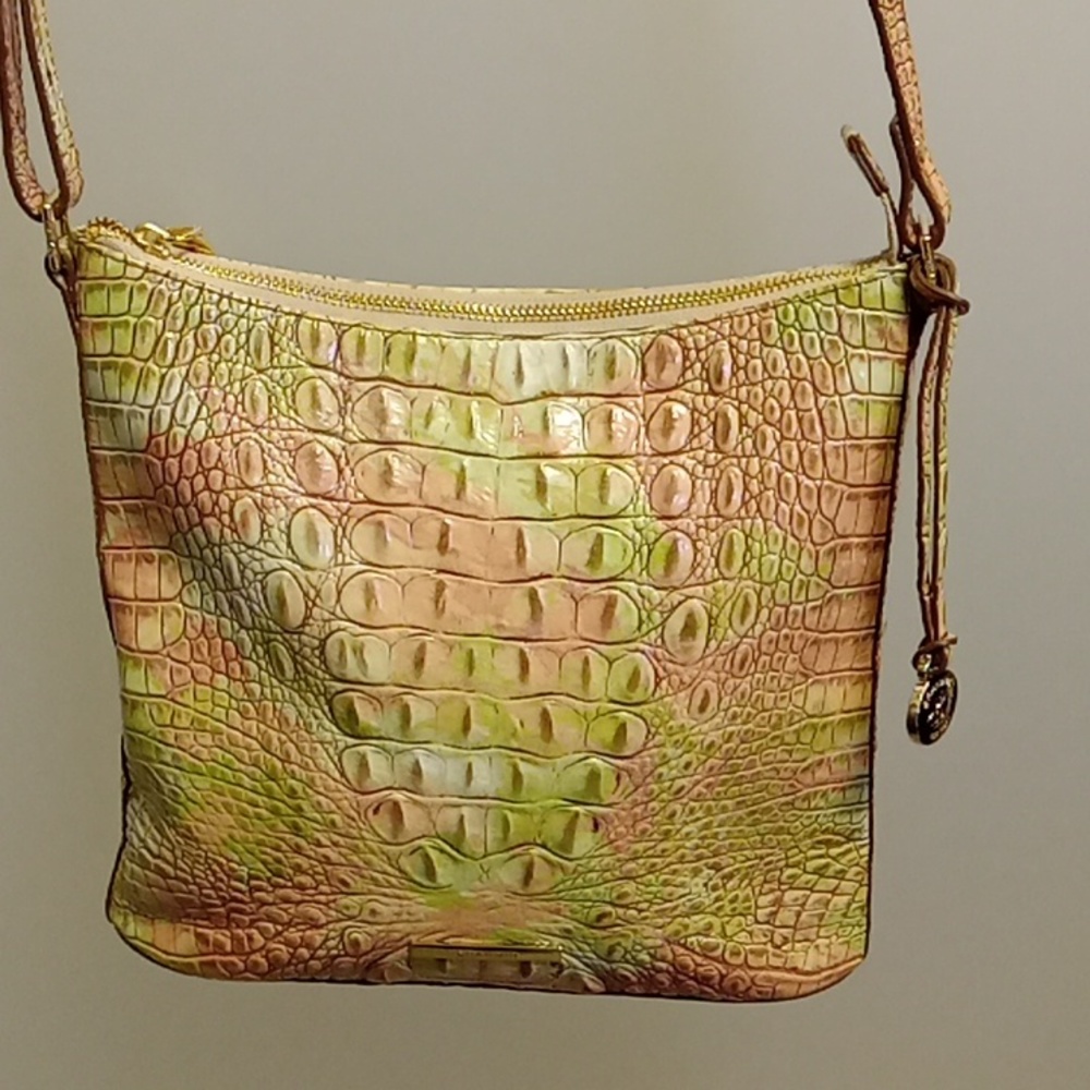 Brahman crocodile multicolored purse
